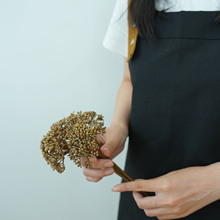 ����Gֲ�������}���廨���ļҾ��b������Ƶ�ܛ�b�羳���N�ٻ�