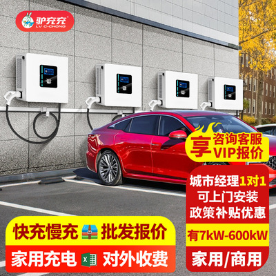 驴充充新能源汽车充电桩20kW商用家用扫码直流快充特斯拉40kW|ms