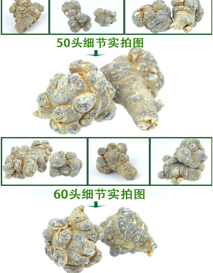 San Qi Notoginseng Root Tian Qi Dried Whole Roots Wenshan Panax notoginseng for Decoction and Powder quality and texture