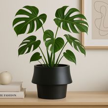 ���W�������ˮ�໨���ɫ���ξGֲins������ʽ���_���������̖