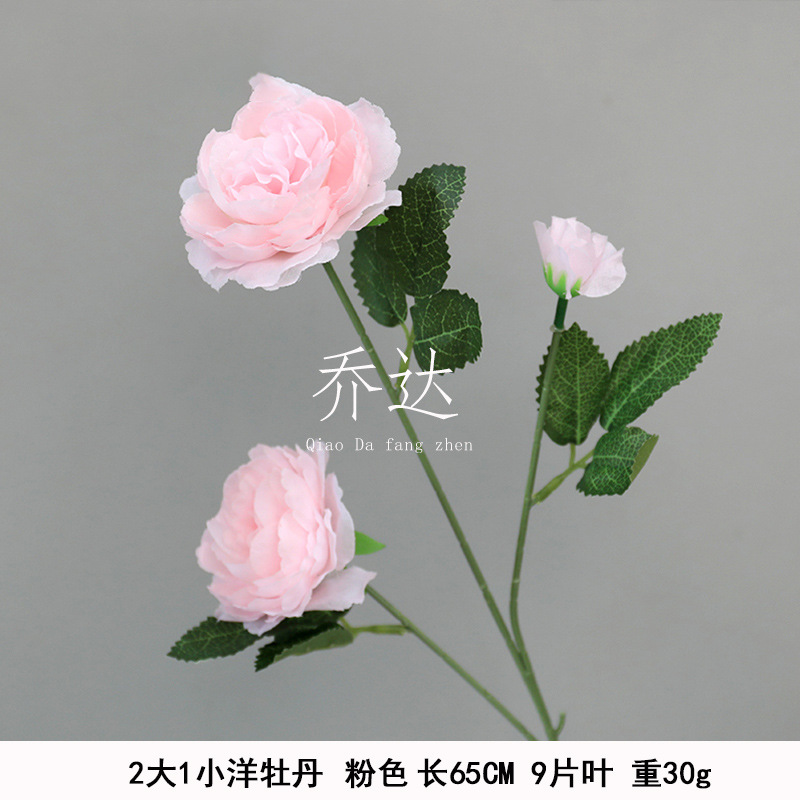 2 big and 1 small foreign Peony