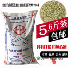 ͨ���~��� �³��w���~��� �a�~���~ ��~��C �ڿ�ĥ��