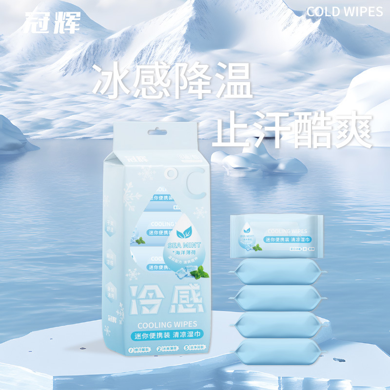 冠輝一提袋裝迷你濕巾便攜小包隨身手口清潔濕巾紙嬰學生兒童濕巾