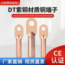 DT铜鼻子接线端子电线铜线鼻子堵油铜接头16/25/35/50平方铜线耳
