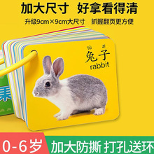 宝宝早教拼音学习本动物水果交通人物识图字卡启蒙数字卡片幼儿园
