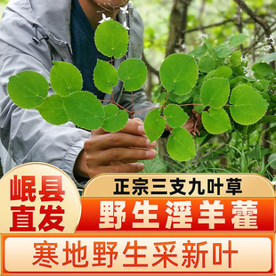 ���CҰ��С�~����޽��ș�Ĭ�����ɐ���i����`Ƣ��Ʒ�ݾ�������ˮ