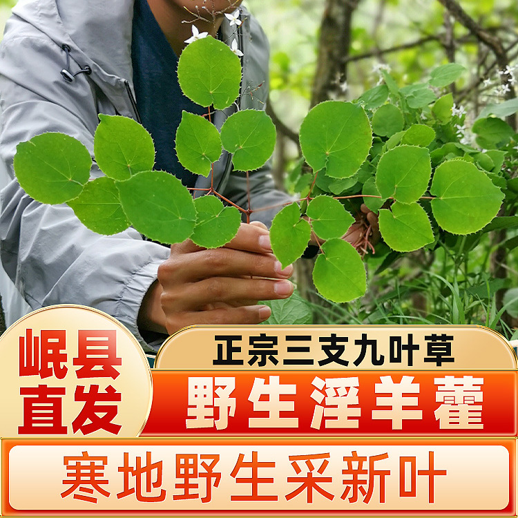 甘肃野生小叶淫羊藿中药材玛咖肉苁蓉锁阳仙灵脾正品泡酒男性泡水