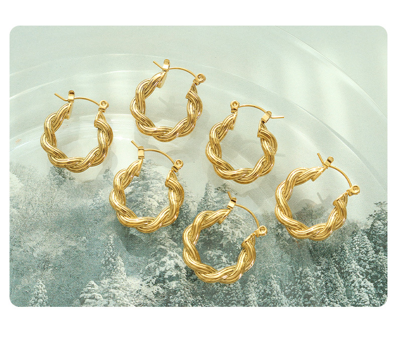 Novelty U Shape Titanium Steel Earrings Plating Stainless Steel Earrings