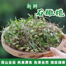 新鲜石橄榄排头双叶小果双叶中果石仙桃生岩珠果上叶山货现采现发
