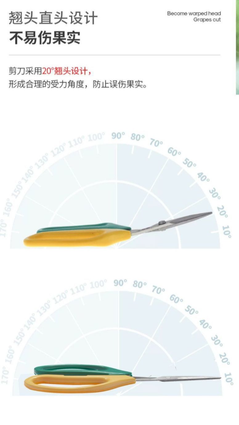 微信图片_20250624235254