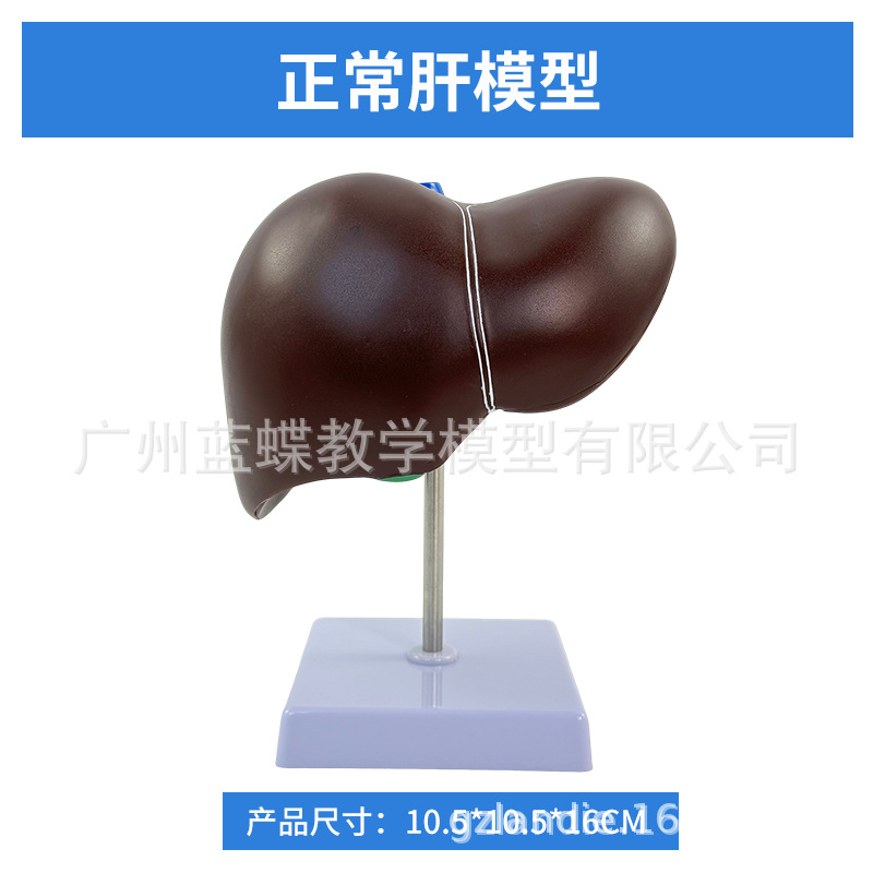 ҽѧ��������������ģ�͸��ŵ��ҵ��ܽṹ����ϵͳ������ʾ�̾�