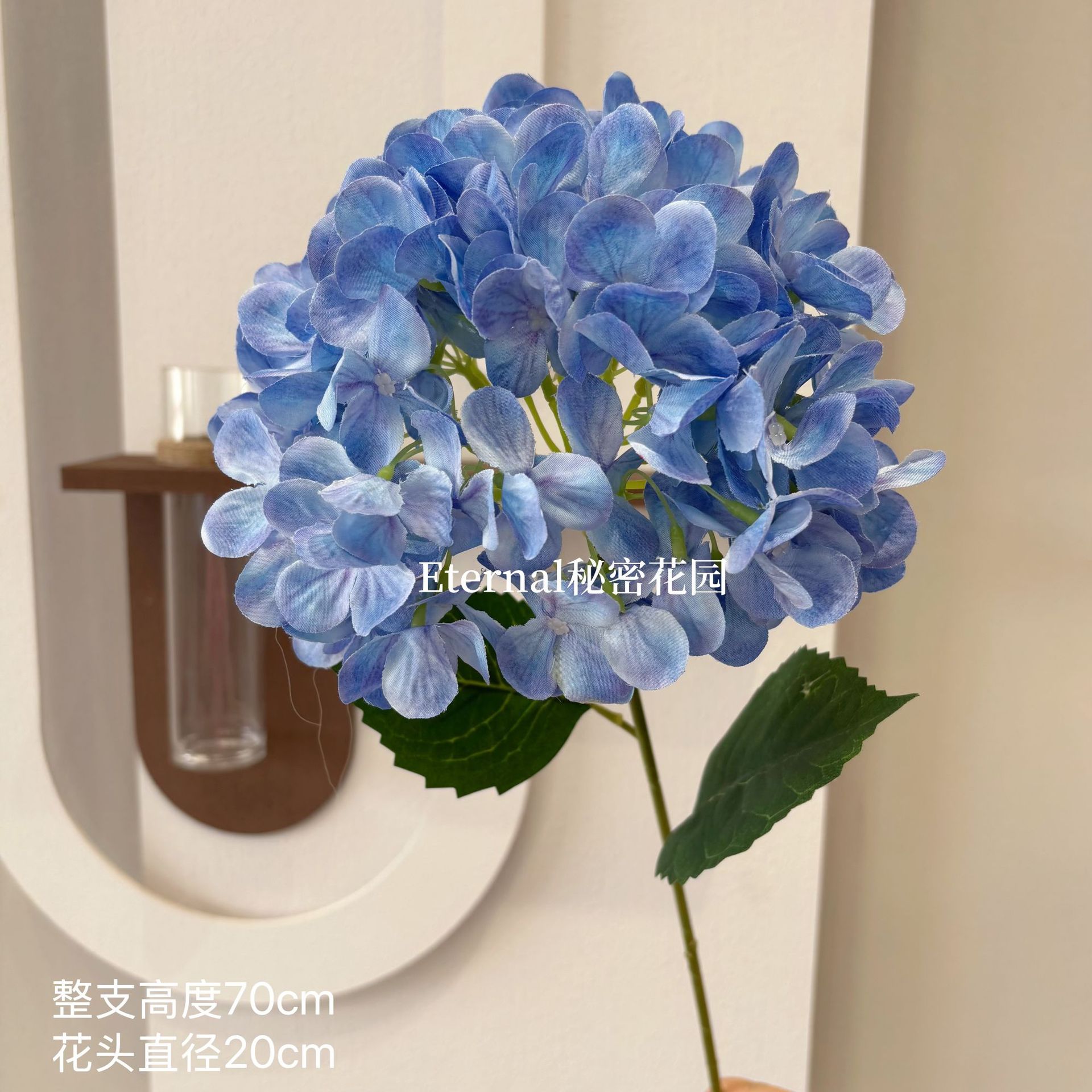 벨라 수국 블루