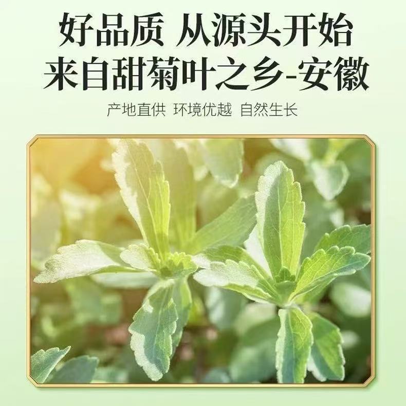 Stevia Leaf Tea Tian Ye Ju 30g Canister Dried Herbal Tea Sugar Free Daily Brew overview
