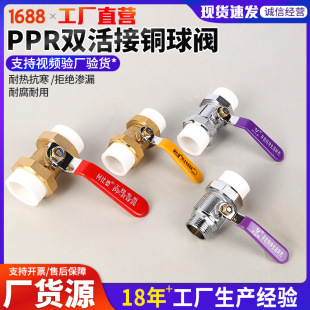 �S�ҹ����p����~���yppr�y�Tdn25��h�~���y������y�S�~ppr���y