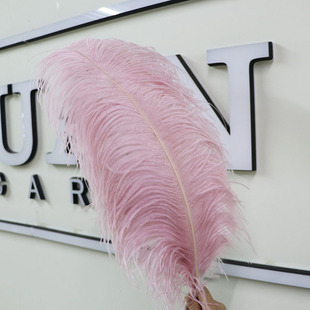�S�����l�M���r�Bë60-65cm�ָɲ�ɫ��c��ë���s�Ҿ��b�diy�o��