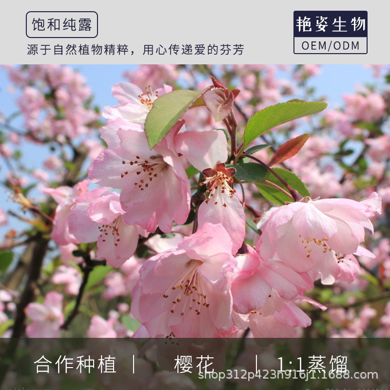 纯露植物提取 纯露批发 爽肤水保湿补水纯露 纯露O EM\O DM