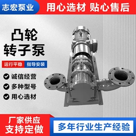 转子泵