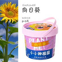 EcoeyͯNֲСԾGֲ^diy҃ȱòݲω