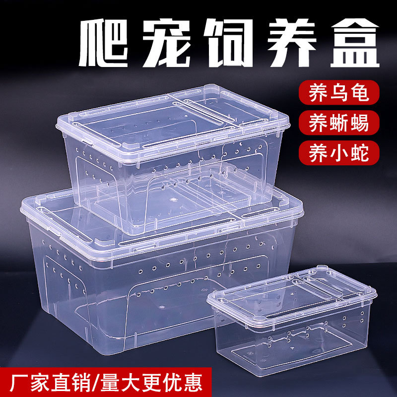 爬宠饲养爬台饲养箱透明透气爬台蚕宝宝饲养箱爬虫饲养盒蜘蛛角蛙