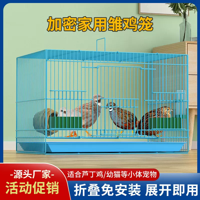 鸭子专用笼芦丁鸡笼鹌鹑兔子家用繁殖笼易折叠笼雏鸡笼户外运输笼