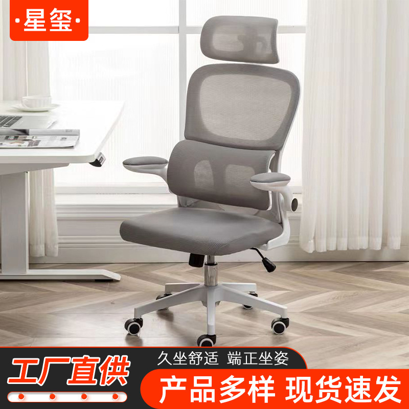 Back Support Chair, Home Computer Chair, Office Conference Chair, Ergonomic Chair for Primary and Secondary School Students, Study Chair