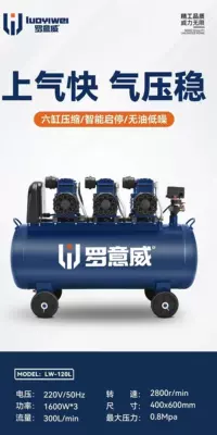 Permanent Magnet Variable Frequency Oil-Free Air: Hava kompressorları - 1600w3-120l