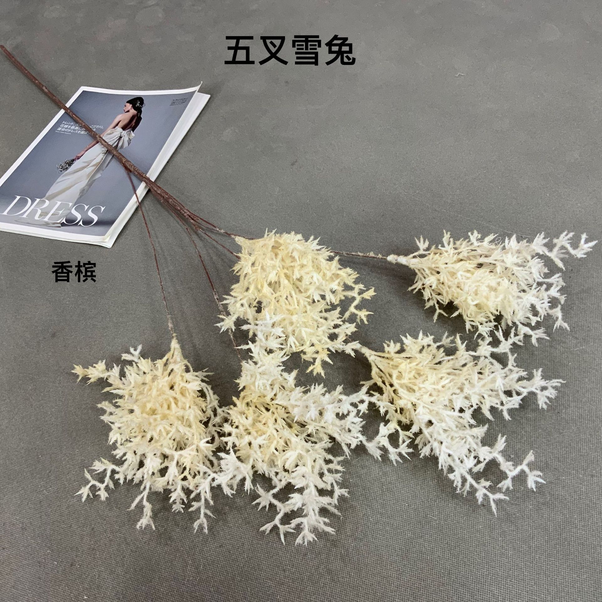 c2653571bcaadbd93c8cc5757b138e