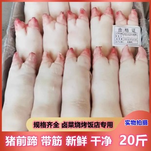 �i������F�����r��ֻ�������r��ɢ�����i��ǰ�����i�i�_��������