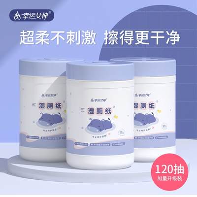 120 Wetting Toilet Paper Household Super Cost-effective Barrel Wet Wipes Baby Wipes Big Bag Sanitary Toilet Paper Disposable