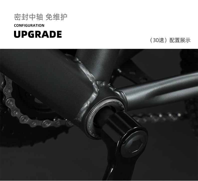 fefb9cb5-a3ea-428e-9fef-9223430f9e02.jpe