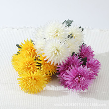 滨7^п׼z sҾbcƵ[OСǧӾջ