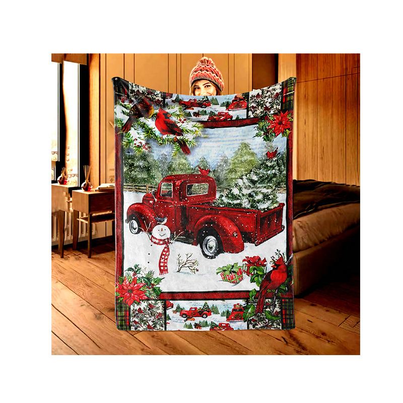 廠家供應(yīng)圣誕節(jié)萬(wàn)圣節(jié)毛毯印花休閑毯子兒童毛毯節(jié)日禮盒禮物禮品