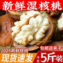 2025新鲜湿核桃5斤四川薄壳生核桃孕妇吃绿皮嫩核桃去青皮鲜核桃
