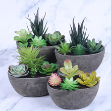 ֲ（{辰rС[϶߷辰