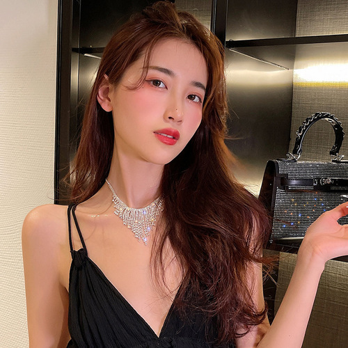 Super flash full diamond crystal tassel necklace for women water drops retro personality bridal diamond hollow light luxury collarbone chain necklace