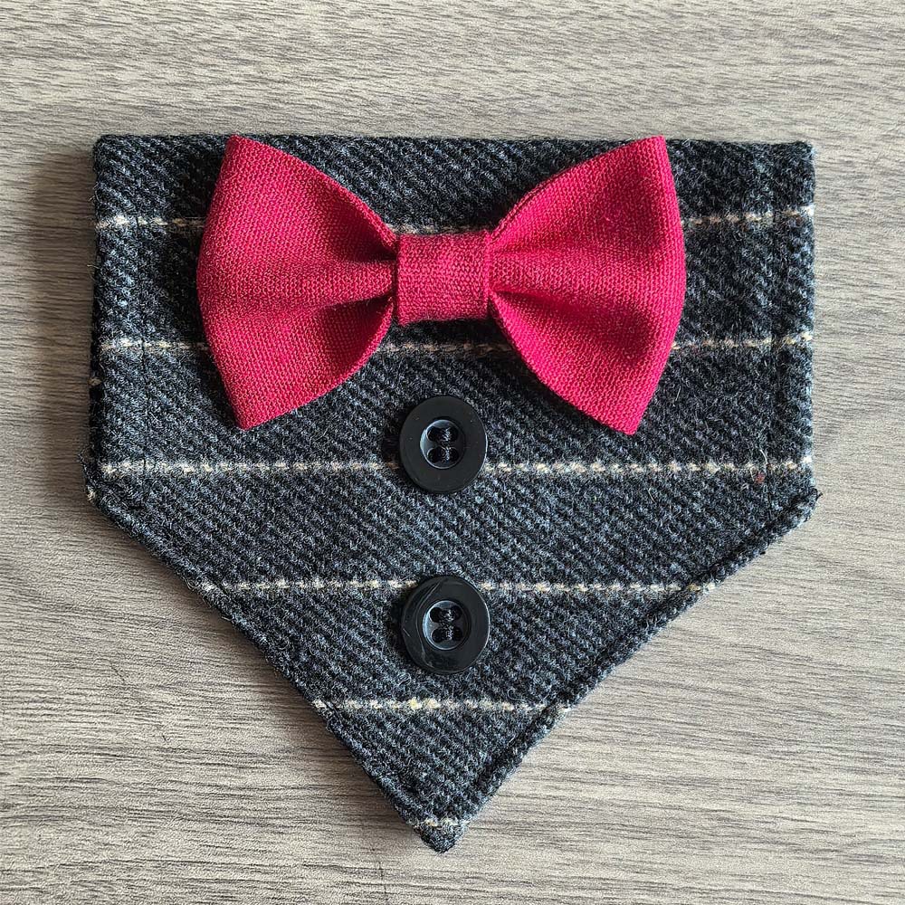 TANPOPO transfronterizo para gatos guapo corbata toalla triangular collar trajes de moda toalla triangular para mascotas