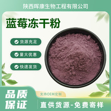 蓝莓冻干粉 烘焙原料 固体饮料 冻干蓝莓粉 晖康现货供应