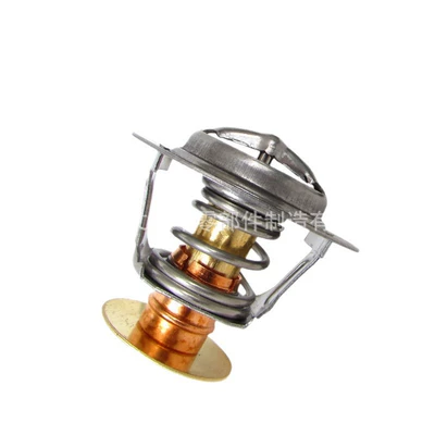 Thermostat for Ford Edge