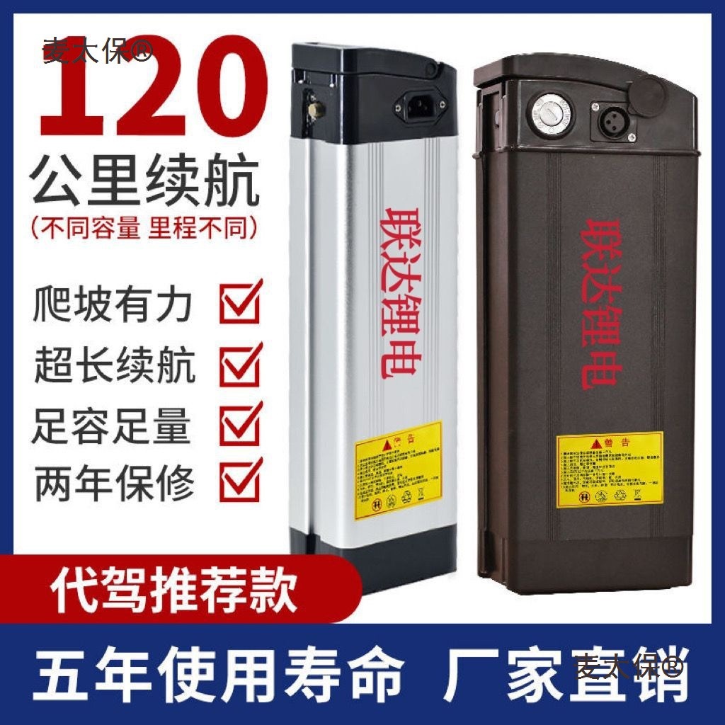 锂电池48V智能银鱼海霸款电动车锂电池折叠外卖代驾车送充麦太保