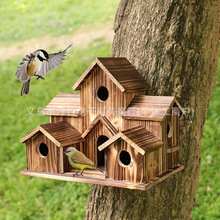 Bird's-nestľ|BC@W^BeʽιB[