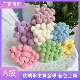 永生花;鲜花花艺制品;干花