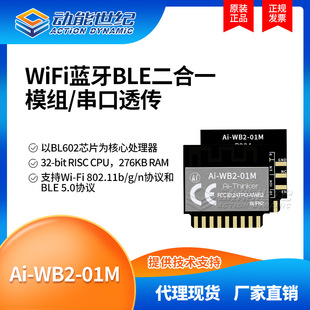Ai-WB2-01M WIFI BLE dual-mode module supports 32-bit RISC CPU,276KB RAM