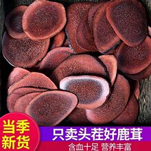 ����¹��Ѫ����÷��¹��Ƭ��֧����ˮ�Y���ݾ��ͶYƬ��Ƭ��Ƭ�Ҝ�