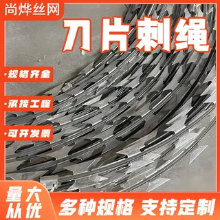 防攀爬刀片刺绳定制刀刺网学校围墙围网刺丝滚笼热镀锌刀片刺网
