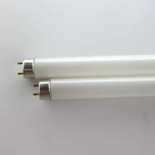 T5 4W6W8W BL诱蚊灯管 紫外线蓝光灯管365NM