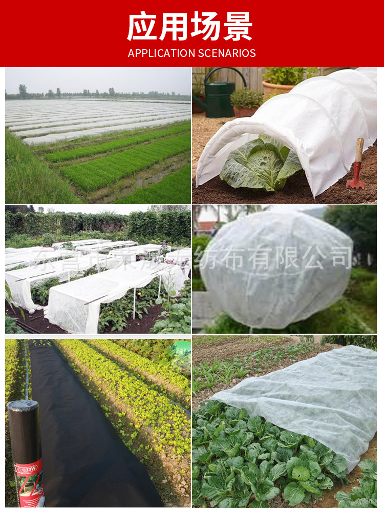 O1CN011S1cyX1cvhS923UQF_!!998553663-0-cib.jpg?__r__=1684201735983