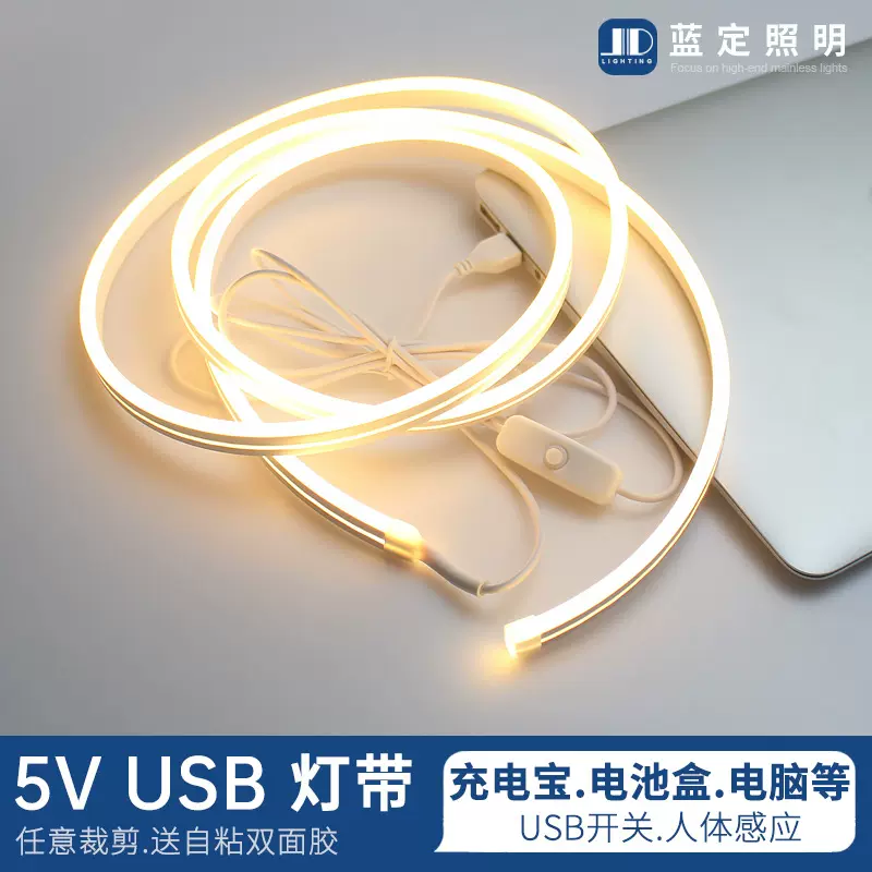 led灯带5v低压超亮电池款不插电usb柔性霓虹硅胶氛围软灯条