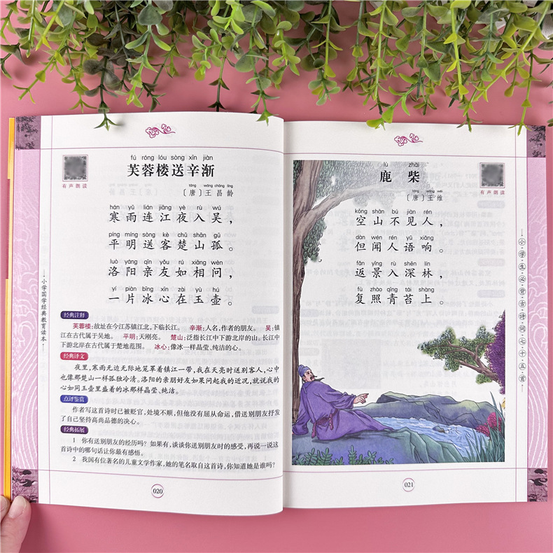 详情图