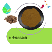 川牛膝提取物10:1 川牛膝三萜皂甙水溶川牛膝粉云奇生物厂家现货