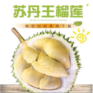 ��ɏ������̩����ɏ��޽ӽ����^�Ϸ������Nֲ���Ե����箔��Y��